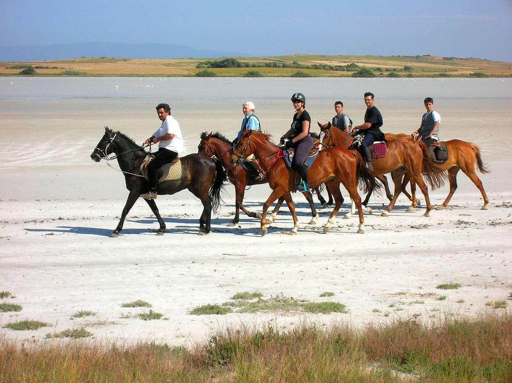 Horse Country Resort Congress & Spa - Hotel Ribot Arborea Kültér fotó