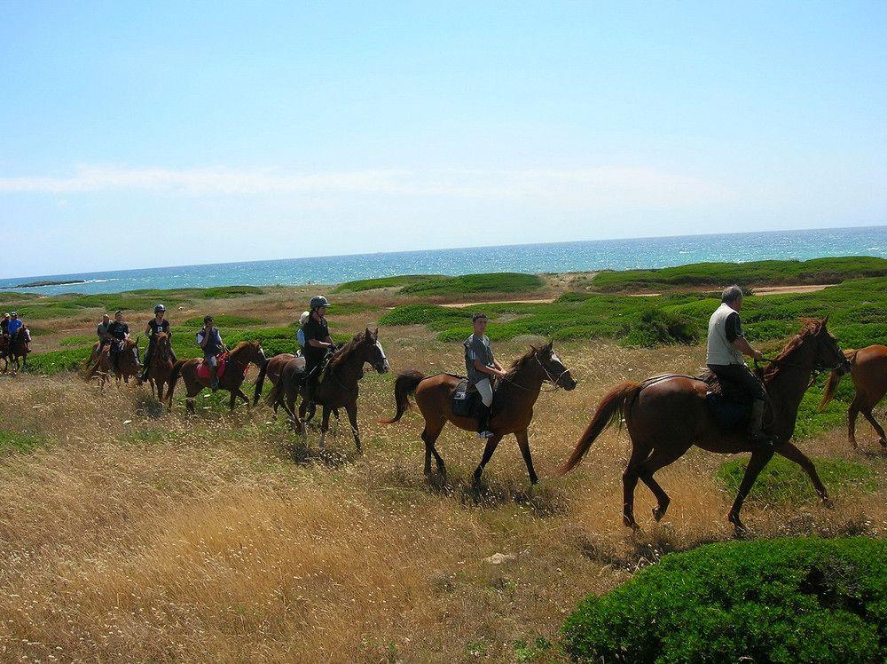 Horse Country Resort Congress & Spa - Hotel Ribot Arborea Kültér fotó